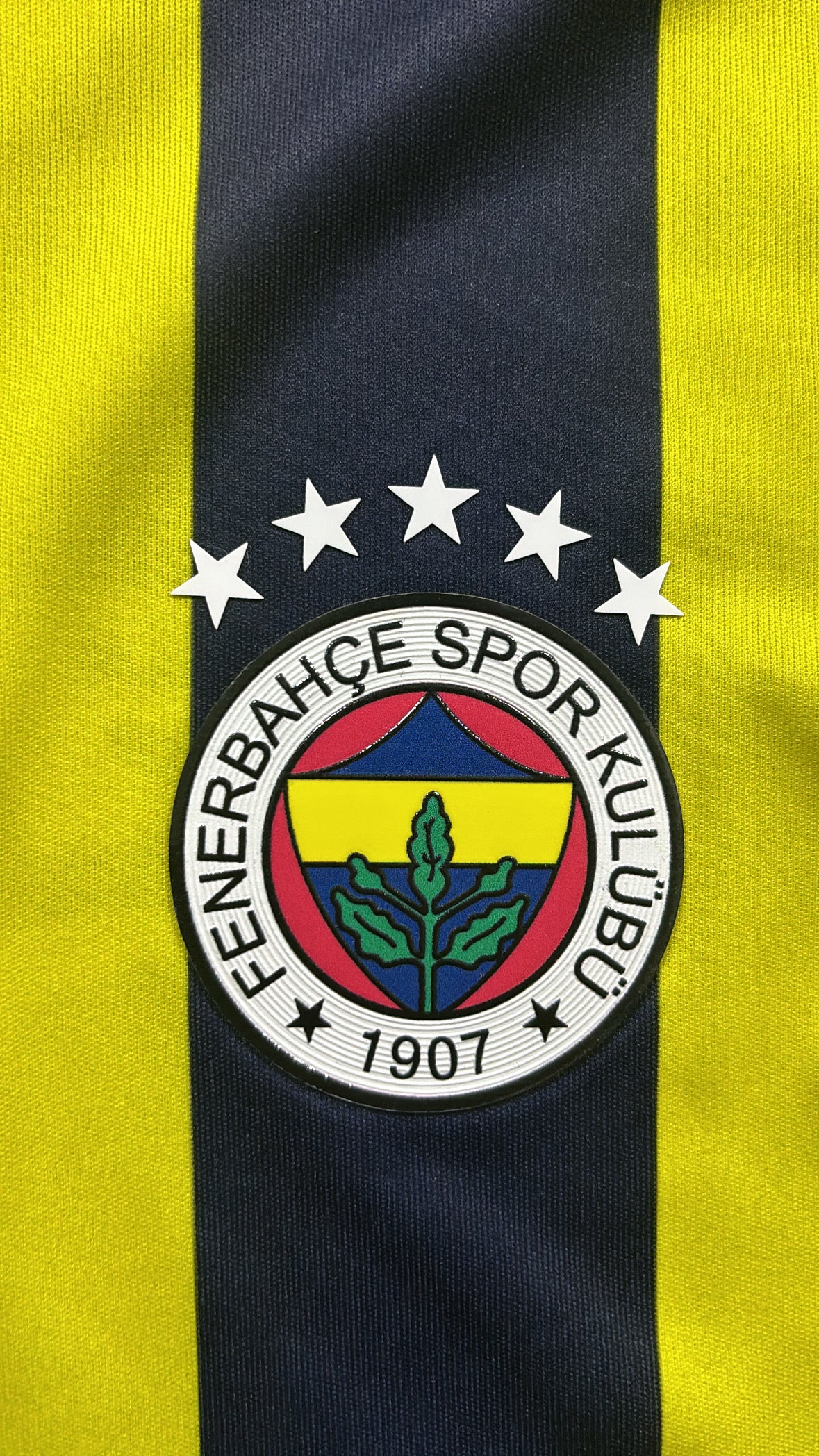 FENERBAHÇE 2025-2026 ÇUBUKLU FORMA
